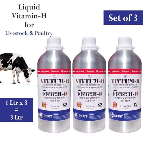 Image of REFIT Vitamin H for Cow, Cattle, Buffalo, Sheep, Goat, Poultry, Dairy Farm and Livestock Animals, 1000 ml X 3, Pack of 3, VIYTUM H