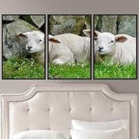 3 Piece Framed Canvas Wall Art Fun Animals Canvas Prints Home Artwork Decoration for Living Room,Bedroom - 16