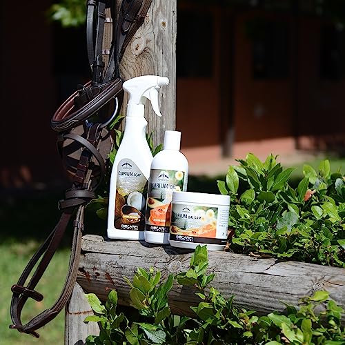 Baume pour cuir Veredus Curium à la cire d'abeille protège et assouplit