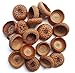 Tin Roof Treasure Natural Acorn Caps Pack of 200