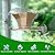 Window Bird Feeder for Outside with Waterproof Seed Storage – Strong Suction Cups, Large Capacity, Easy to Clean, Gifts for Bird Lovers