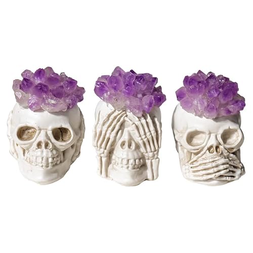 FNYUVNFAF Three Wise Skull with Amethyst Crystal Flower - Decor for Home, Office, and Spiritual