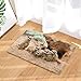 Produktbild fdswdfg221 Animal Decor Wildtier Erdmännchen in der Prairie Cave Bad Teppiche rutschfeste Fußmatte Bodeneingänge Indoor Haustür Matte Kids Badematte 60X40CM Bad-Accessoires
