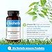 Johanniskraut Kapseln – 200 Stück mit 260 mg pflanzlicher Komplex mit Vitamin B6 von BIOHERBA PZN 17191352