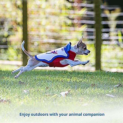 Raptor Shield Puncture Resistant Pet Vest For Small Dogs — Large, 12-21 Lbs, Chest 17.5 To 23" #TOP4