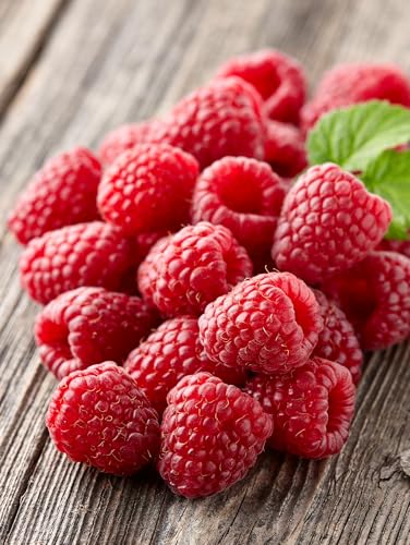 Sugarflair Natürliches Lebensmittelaroma Koscher Raspberry, Intensives Aromatropfen für Kuchen, Cupcakes, Frostings, Getränken, Eis - 100% Natural Flavour - 30 ml