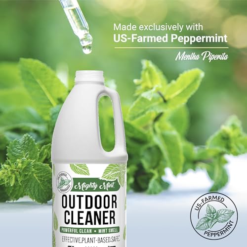 Mighty Mint Outdoor Cleaner, Powerful | Bleach-Free | Biodegradable, Cleans Stains from Mold & Mildew on Wood, Decks, Concrete, Patios, and Vinyl Siding, Natural Mint Scent, 32oz
