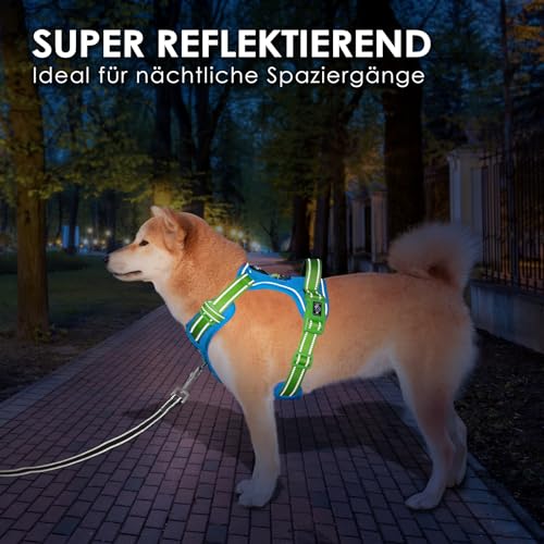 PHOEPET Anti-Zug Hundegeschirr - Reflektierendes Verstellbares Welpen-Sicherheitsgeschirr für kleine, mittelgroße und große Hunde (S,Blaue Basis & Grüne Träger)