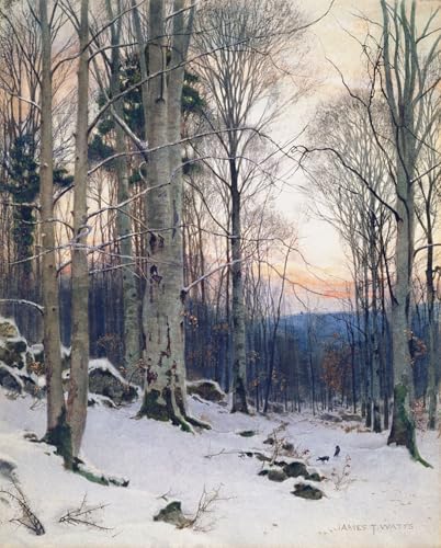 Póster de lienzo decorativo Twilight Beech Woods 60x90cm para paredes de dormitorios 1