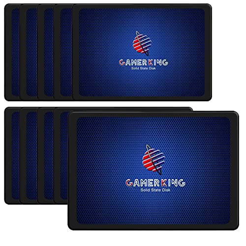 SSD 2.5 SATA III GAMERKING 64 Go lot de 10 disques internes pour PC