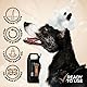 GROOM PROFESSIONAL Argan Oil Conditioner - Pflegespülung für Hunde - Reparierende Conditioner für Hunde mit Geschädigtem Haar - Entwirrende Pflegespülung - Für Trockene und Juckende Haut, 4 Liter