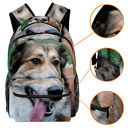 Sac à dos décontracté imprimé canin coloré unique pour femmes - 3