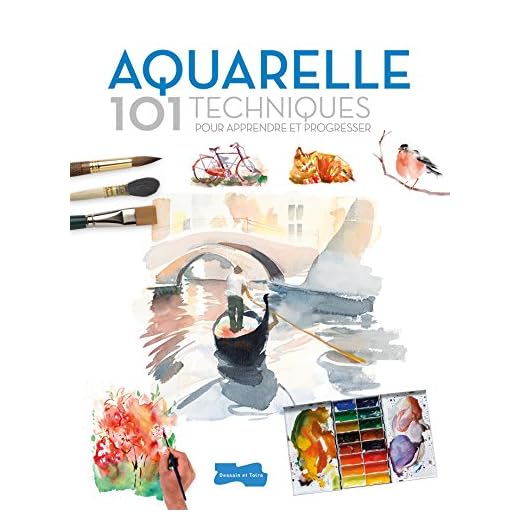 Aquarelle 101 techniques pour apprendre