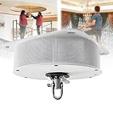 16.4FT Electric Chandelier Lift, Motorized Ceiling Hoist System with Remote & Wall Switch, Heavy Duty 110V Lifter for Lamps & Fixtures, 20kg Capacity