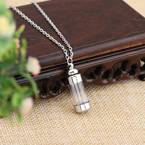 Zysta Arylic Urn Necklace For Ashes Clear Glass Cylinder Pendant Creamation Vial Necklaces Ash Locket Tube With 24 Inch Chain Holder Container Keepsake Memorial Urns Jewelry #TOP3