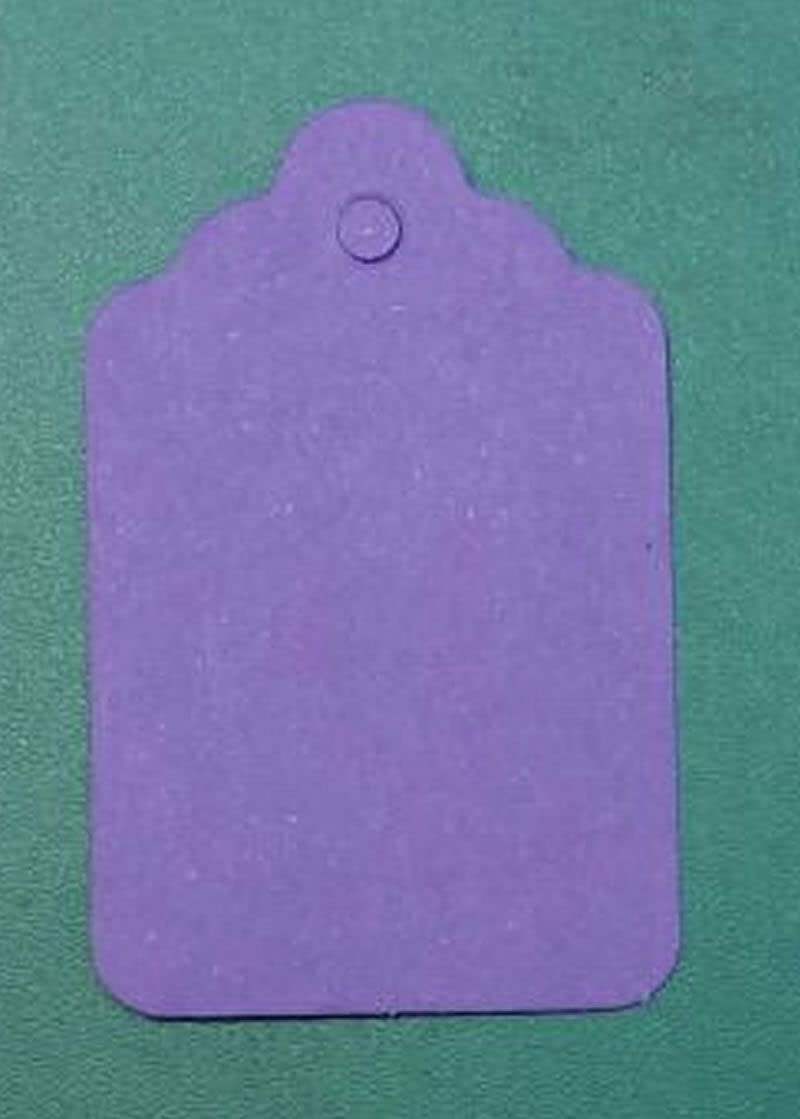 1000 Coloured Kraft UnStrung Tags Swing Price Ticket Jewellery Labels (Purpe, 32mm X 22mm)