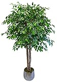Medidas – Árbol: 190 cm alto x 100 cm ancho. Macetero: 20 cm alto x 21 cm diámetro. Macetero de plástico en color negro. No incluye el macetero de la foto.