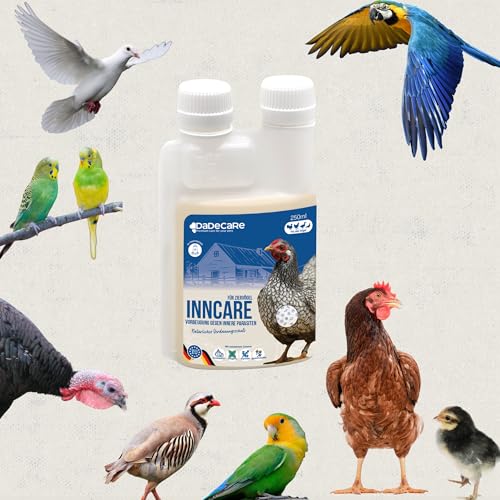 Prävention von inneren Parasiten 250ml - Hühner, Geflügel und exotisches Geflügel - Vorbeugung und Behandlung von Verdauungsproblemen - Natürliche Formel - Knoblauch- und Oreganoextrakt - Inncare