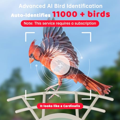 Smart Bird Feeder Camera Solar Powered, Bird Watching Camera, AI Identify Bird Species, 2K HD Live View and Instant Notification, Ideal Gift for Bird Lover - Image 3