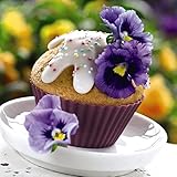 Pansy Viola Seeds 'Tasty Mixed' F1 Hybrid x wittrockiana Hardy Perennial Mixed Colour Blooms Easy to Grow Your Own Edible Garden Flowers 1x Packet (Approx. 18 Seeds) by Thompson and Morgan