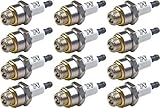 WILDFLOWER Tools 796112 Spark Plugs (Pack of 12) Compatible with Toro, Briggs & Stratton