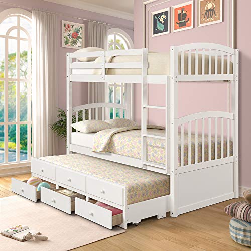 bunk bed guest room