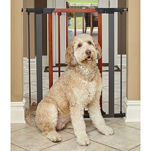 Steel Pet Gate w/ Textured Graphite Frame & Decorative Wood Door, 29" -38 W Inches - Image 2