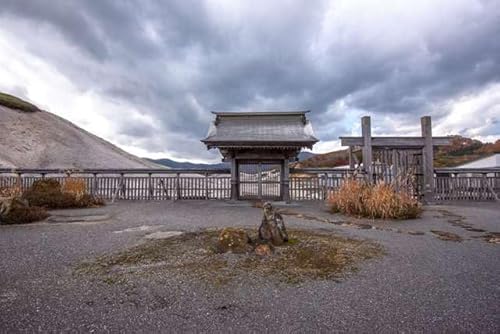 y{i|XgJ[hzX R̂͂R tHgJ[hyY photo by daikegoro