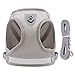 LOS ANDES Hundegeschirr & Katzengeschirr, Reflektierend, Weich Gepolstert, Air-Mesh Brustgeschirr für Kleine Hunde & Katzen, XS (Brust: 24-27cm), Grau, Gestreift
