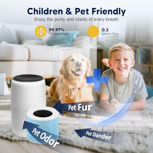 Core Mini Smoke Remover Replacement Filter for LEVOIT Core Mini and Core Mini-P Air Purifier, 3-in-1 H13 Grade True HEPA and Activated Carbon, Core Mini-RF-SR, 6 Filter & 10 Fragrance Sponge, Blue