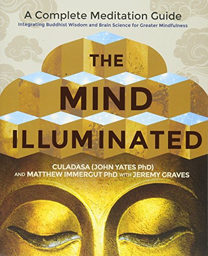 The Mind Illuminated: A Complete Meditation Gui... 9386832437 Book Cover