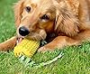 Carllg Dog Chew Toys, Puppy Toothbrush Clean Teeth Interactive Corn Toys, Dog Toys Aggressive Chewers Medium Large Breed #3