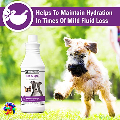 Vet Classics Pet-A-Lyte Oral Electrolyte Solution For Dogs And Cats – Helps Replace Fluids Lost From Pet Dehydration, Diarrhea, Vomiting – Replaces Dog Electrolytes – 32 Oz. #TOP2