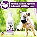 Vet Classics Pet-A-Lyte Oral Electrolyte Solution for Dogs and Cats – Helps Replace Fluids Lost from Pet Dehydration, Diarrhea, Vomiting – Replaces Dog Electrolytes – 32 Oz.