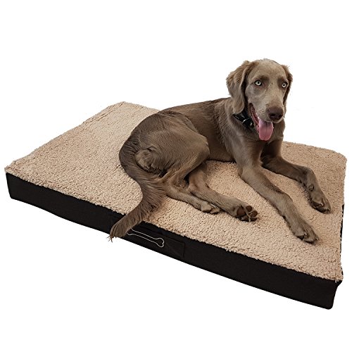 DILUMA Orthopädisches Hundebett Benji Größe L (100 x 65 x 10 cm) - optimaler Liegekomfort für Ihr Haustier - viscoelastische Hundematratze mit abnehmbaren Bezug und Antirutschbeschichtung