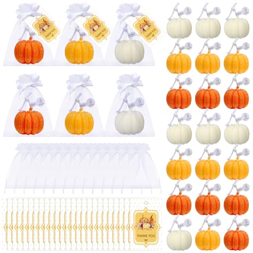 Treela 24 Sets Pumpkin Candles Fall Baby Shower Party Favors for Guests Little Pumpkin Shape Tealight Candle for Thanksgiving Autumn Baby Shower Wedding Birthday Thank You Return Gifts(Classic Colors)