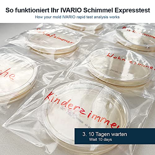 Schimmeltest IVARIO Expresstest für Zuhause – Schimmelpilz Analyse