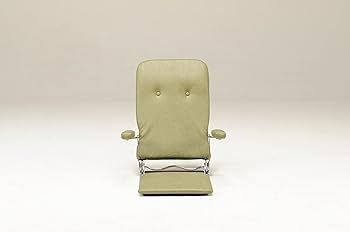 光製作所(Hrikari Furniture)　高級座椅子 Amazon.co.jp: 日本製座椅子 ジュリー PVCモスグリーン（HIKARI