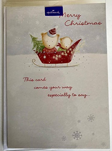 Happy Wishes to You for All The Year Through Hallmark Cute Christmas Card