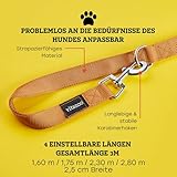 Vitazoo Hundeleine zum Trainieren - 3m - Nylon Graphit Doppelleine für kleine, mittelgroße & große Hunde - verstellbare Leinen bis 4 Verschiedene Längen - Braun
