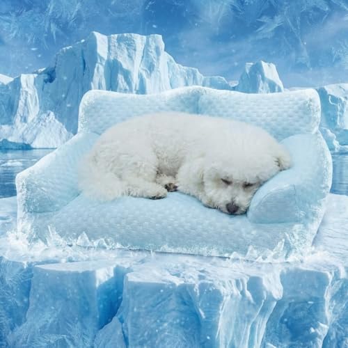 【2026年夏 新登場】ペットベッド 夏用 ひんやり 犬 猫 ソファ型 ベッド 5D冷感生地 接触冷感 高反発 洗える 暑さ対策 熱中症対策 クッション 型崩れしない 丸洗いOK ブルー 65*45*25CM（Amazon）