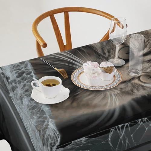 Nappe imprimée chat pour décoration de cuisine et restaurant - 4
