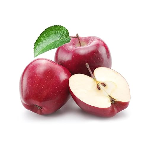 Miniatura 2 de OliveNation Premium Apple Extract - 4 ounces - Derived from fresh apple peels - baking-extracts-and-flavorings