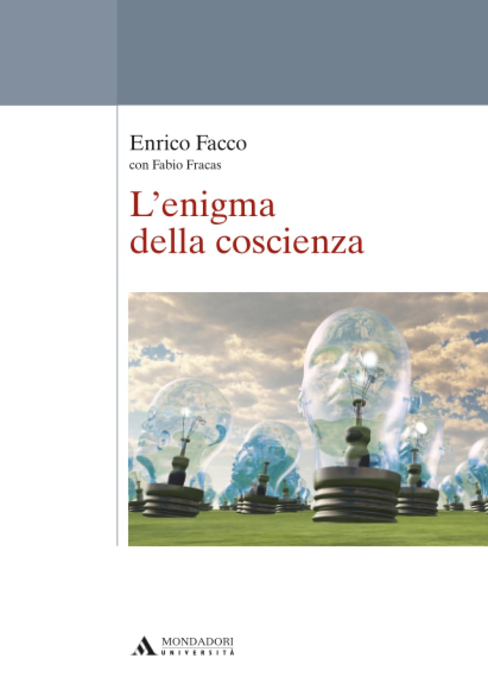 L’enigma della coscienza: Repertori, modelli e istanze formative per l’assessment literacy degli insegnanti (Mondadori Università / Saggi)