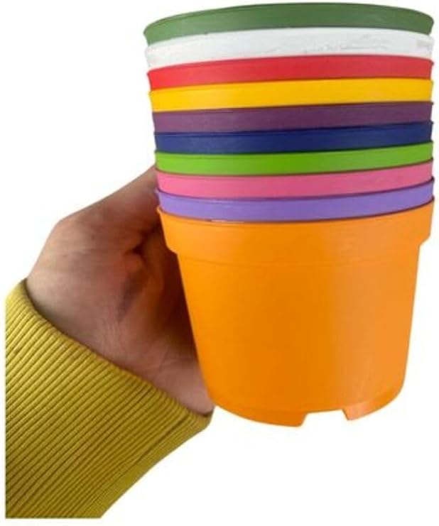 Katı Plastik Sukulent Saksısı, 15 Adet, Çok Renkli, 8,5 cm