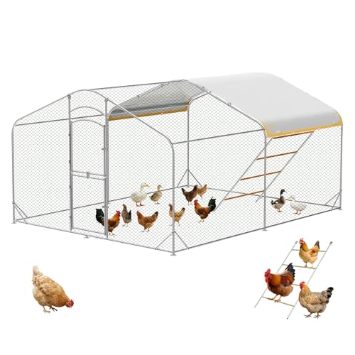 Large Metal Chicken Coop, Outdoor Chicken Run, Backyard Chicken Coops