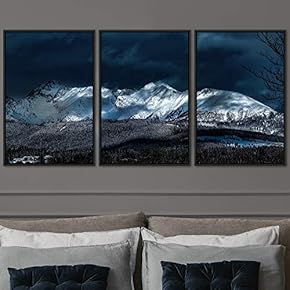 signwin 3 Piece Framed Canvas Wall Art Snow...