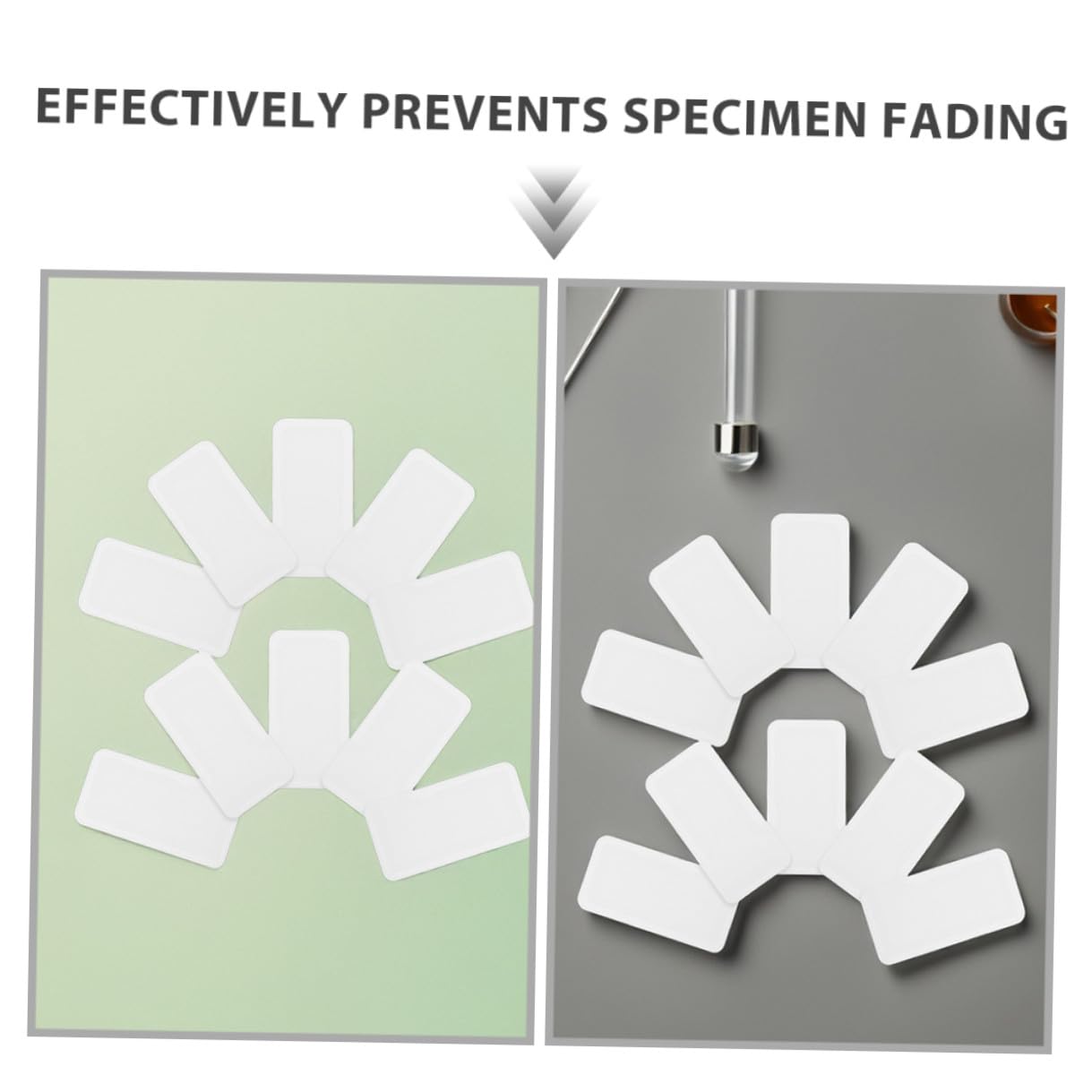 80pcs Micro Specimen Mounting Boards 65x25mm Rounded Thick Insect Spreading Pads Portable Butterfly Specimen Positioning Cards for Science Lab and Educational Experiments