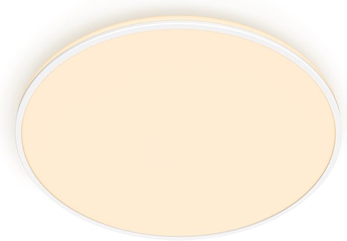 Philips Philips LED-plafondlamp Ozziet - Wit - 36 W - 3 verschillende standen