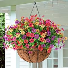 Pink Red Yellow Purple